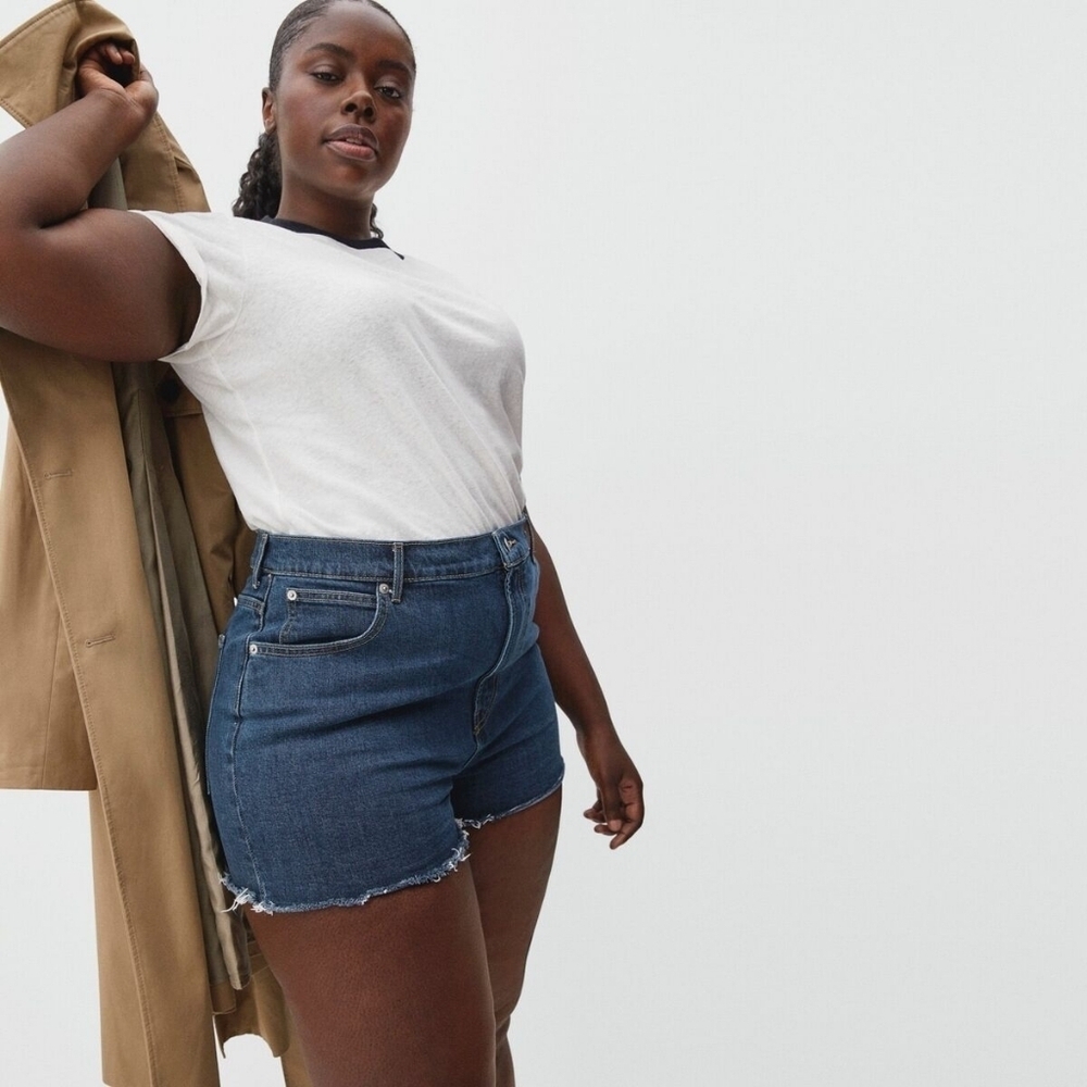 Everlane The Way High Dark Blue Denim Shorts 29